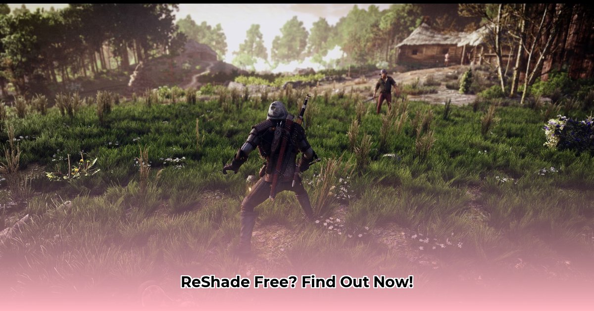 is-reshade-free